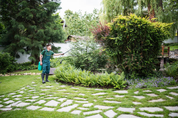 Best Pest Inspection Near Me  in Ramsey, NJ