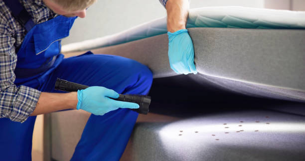 Flea Control Services in Ramsey, NJ