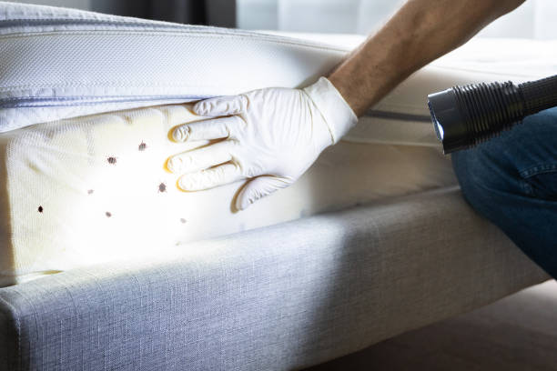 Best Pest Control Near Me  in Ramsey, NJ