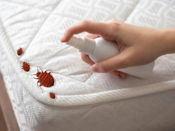 Best Exterminator Services  in Ramsey, NJ