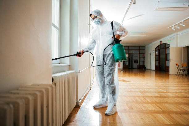 Best Flea Control Services  in Ramsey, NJ
