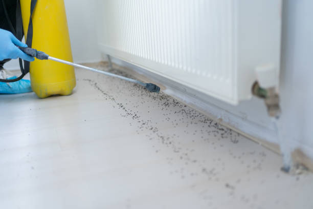 Best Best Pest Control Companies  in Ramsey, NJ